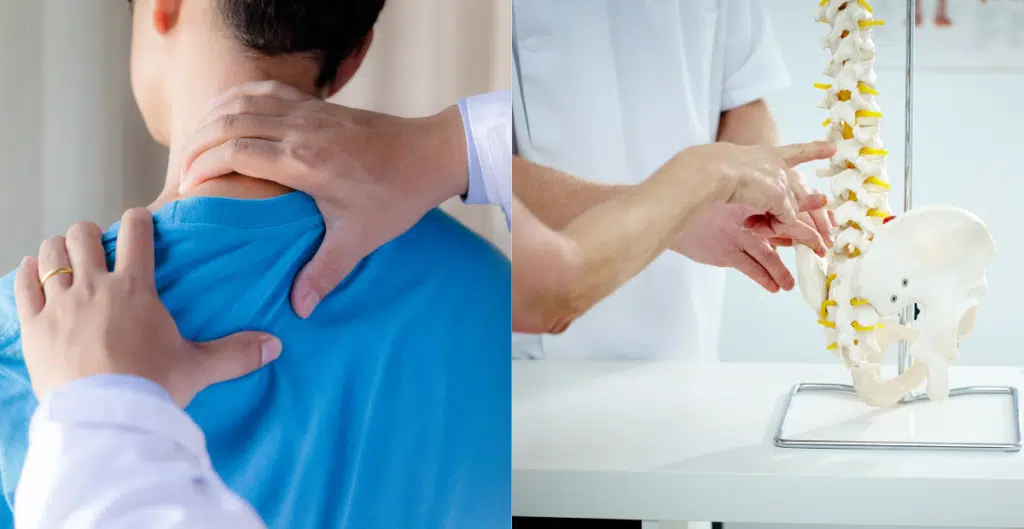 Chiropractor vs. Physical Therapist: Which is Right for You?