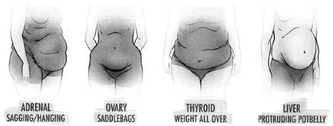 Ovary Body Type