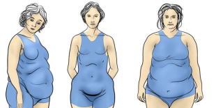 Ovary Body Type Diet
