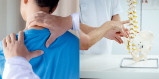 Chiropractor vs. Physical Therapist: Which is Right for You?